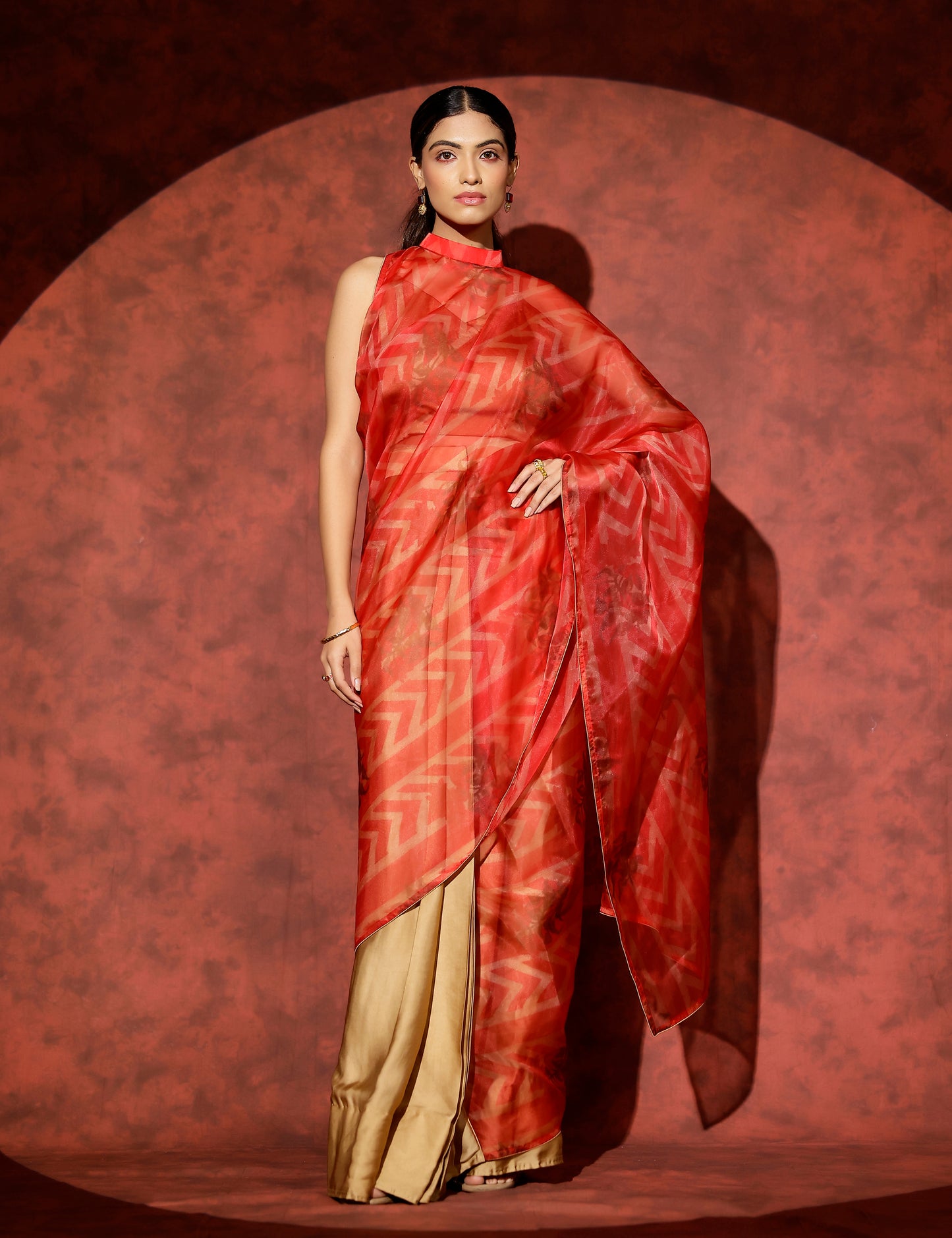 Palladio organza saree