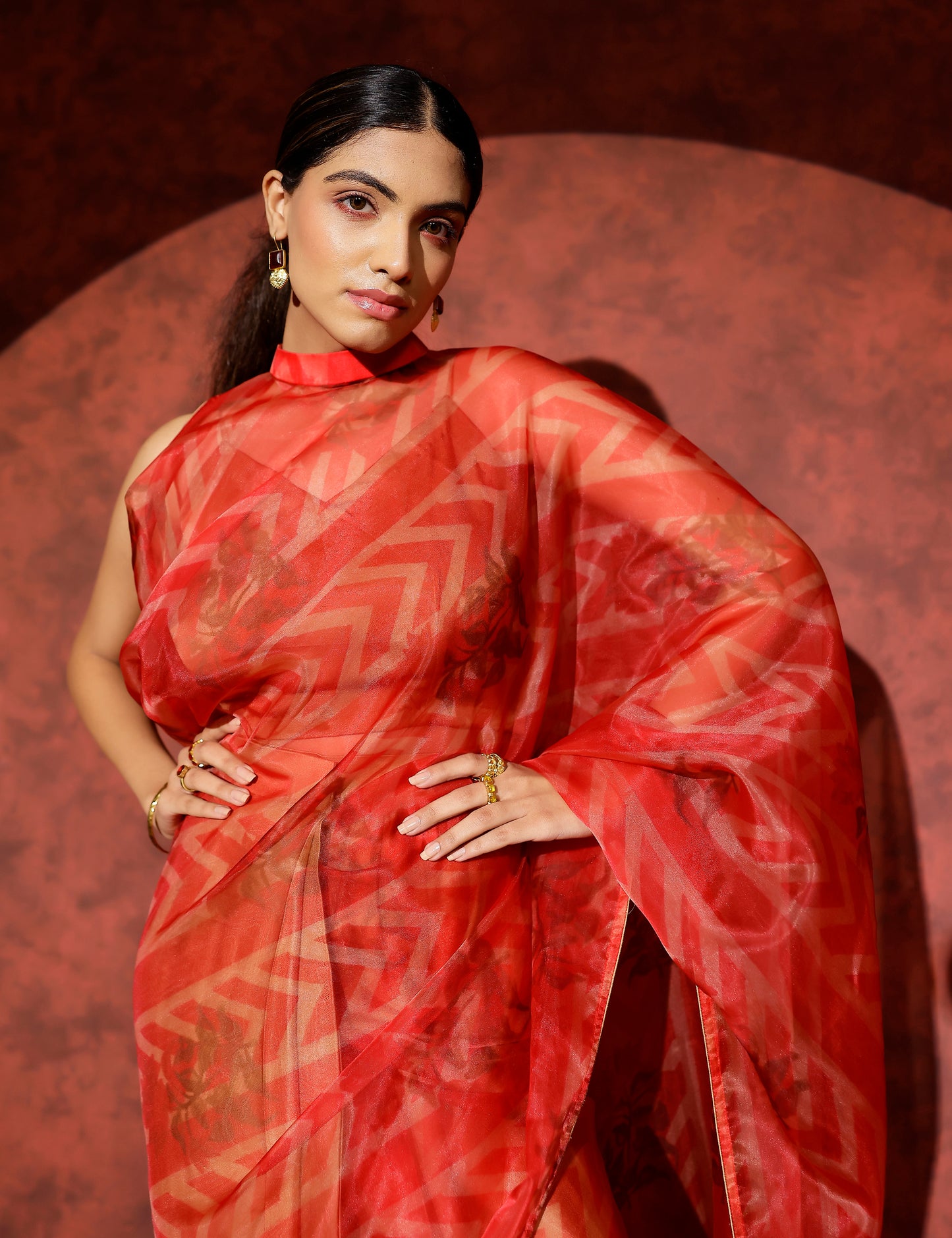 Palladio organza saree