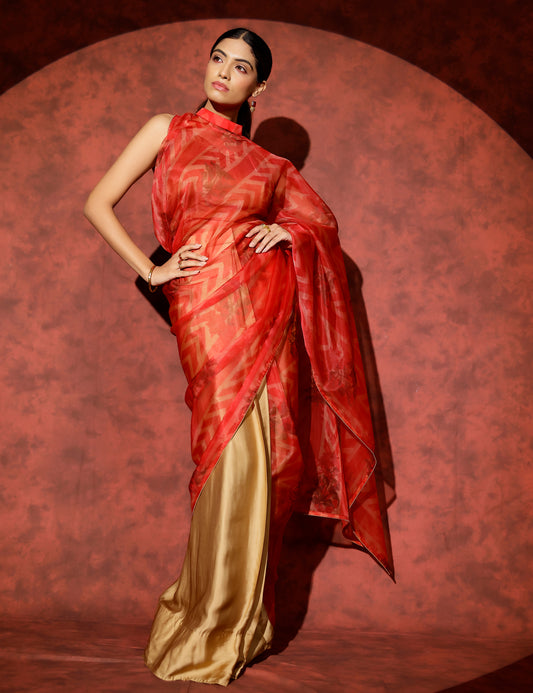 Palladio organza saree