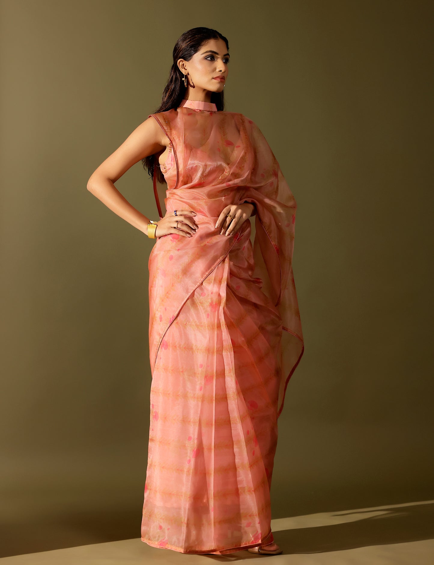 Bel organza collar saree