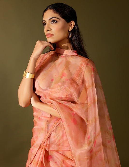 Bel organza collar saree