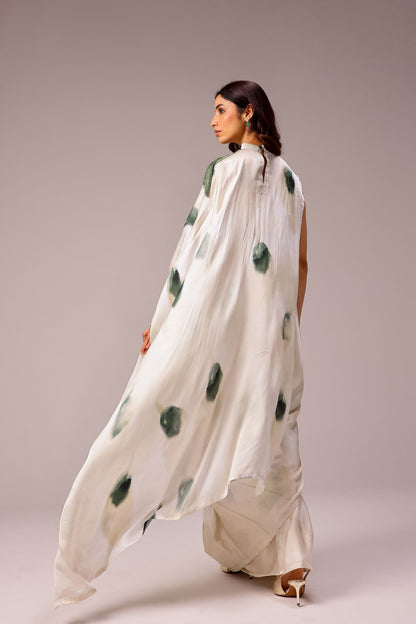 Magnolia Collar Pallu Saree