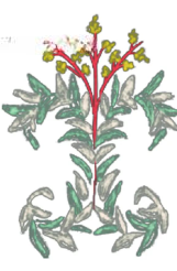 Bottom Decoration