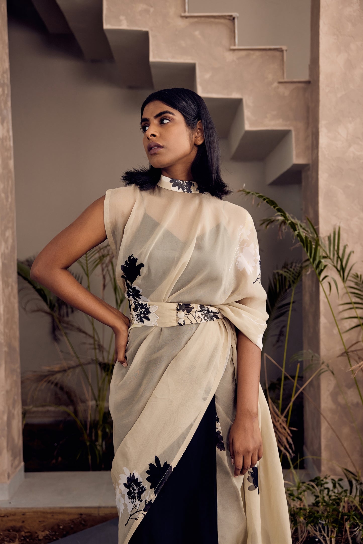 Capri collar pallu sari